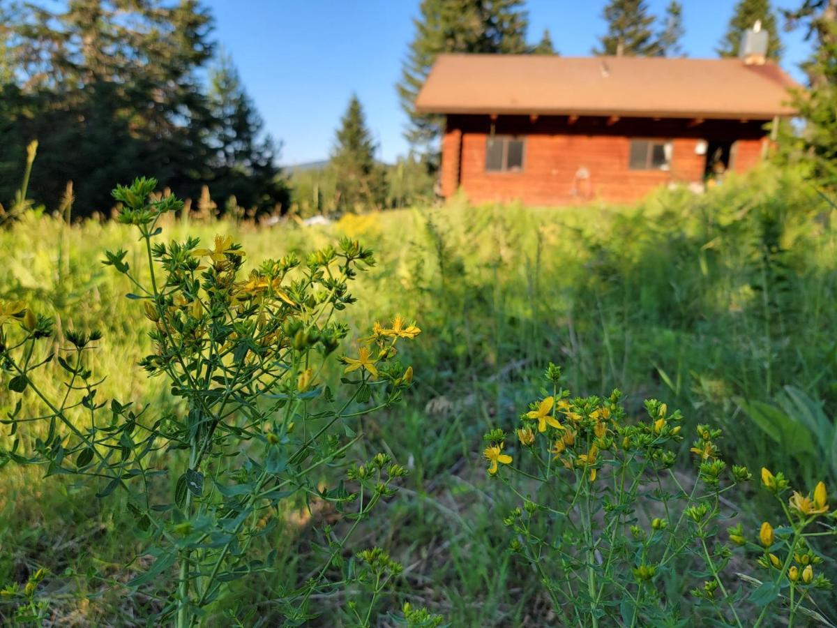 Cooper Spur Mountain Resort Mount Hood Exteriör bild