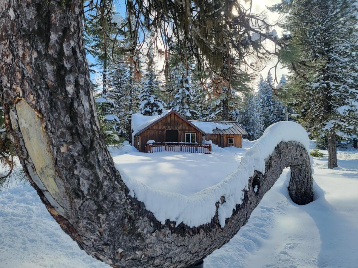 Cooper Spur Mountain Resort Mount Hood Exteriör bild